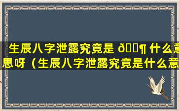 生辰八字泄露究竟是 🐶 什么意思呀（生辰八字泄露究竟是什么意思啊）